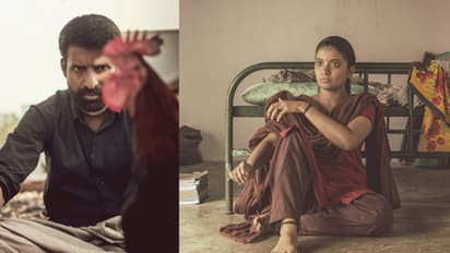 'கொட்டுக்காளி' படத்திற்கு சர்வதேச அரங்கில் குவிந்த பாராட்டு! மகிழ்ச்சியில் சிவகார்த்திகேயன் வெளியிட்ட வீடியோ!