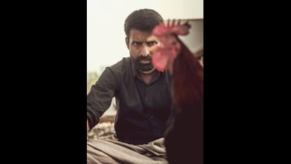 சிவகார்த்திகேயன் தயாரிப்பில் சூரி நடிக்கும் ’கொட்டுக்காளி’ படத்திற்கு கிடைத்த சர்வதேச அங்கீகாரம்!