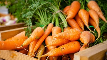 Healthy food Regular consumption of superfood carrots in winter will reap these benefits bsm