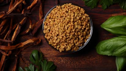 fenugreek