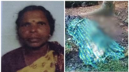 വയോധികയെ റബർ തോട്ടത്തിൽ മരിച്ച നിലയിൽ കണ്ടെത്തി; മൃതദേഹം കത്തിക്കരിഞ്ഞ നിലയിൽ