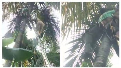 മെഷീൻ ഉപയോഗിച്ച് തെങ്ങിൽ കയറുന്നതിനിടെ പിടിത്തം വിട്ടു, 42 അടി ഉയരത്തിൽ തലകീഴായി യുവാവ്, പിന്നീട് സംഭവിച്ചത്