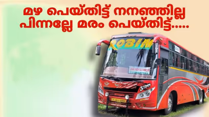 'ആനക്കും ചേനക്കും എംവിഡിക്കും ചൊറിച്ചിലിനുള്ള മരുന്ന് ആവോളം കയ്യിലുണ്ട്', വെല്ലുവിളിച്ച് റോബിൻ മോട്ടോഴ്സ്