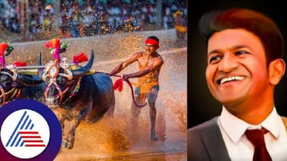 ಬೆಂಗಳೂರು ಕಂಬಳದಲ್ಲಿ ಅಪ್ಪು ಸ್ಮೃತಿ: ಕಂಬಳ ಸಮಿತಿಯ ನಿರ್ಧಾರಕ್ಕೆ ಪುನೀತ್ ಅಭಿಮಾನಿಗಳು ಫುಲ್‌ ಖುಷಿ..!