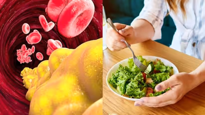 ഈ ഭക്ഷണങ്ങൾ ശീലമാക്കൂ, നല്ല കൊളസ്ട്രോൾ കൂട്ടാം 