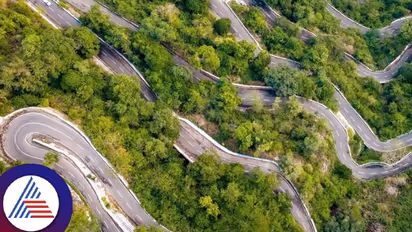 Looking for an impromptu weekend hill-station escape from Bengaluru? Try these places!