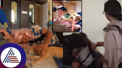 ಹುಲಿ ಉಗುರು ಪ್ರಕರಣದಲ್ಲಿ ಬೀಗ್​ಬಾಸ್​ ಕಿಟ್ಟಿ ಅರೆಸ್ಟ್​! ಮುಂದೇನಾಗತ್ತೆ ಕೇಳ್ತಿದ್ದಾರೆ ಫ್ಯಾನ್ಸ್​