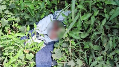 ജനിച്ച് വീണിട്ട് മണിക്കൂറുകൾ മാത്രം, പിഞ്ചുകുഞ്ഞിനെ കുറ്റിക്കാട്ടിൽ തള്ളി 