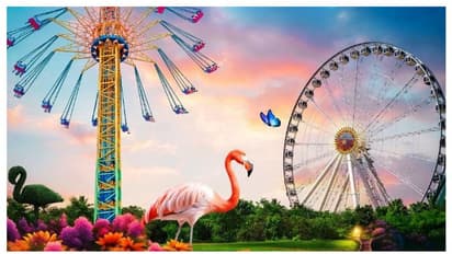 70 സാഹസിക ഗെയിമുകൾ, 31 റെസ്റ്റോറൻറുകൾ; അത്ഭുത കാഴ്ചകളൊരുക്കി ‘വണ്ടർ ഗാർഡൻ’തുറന്നു