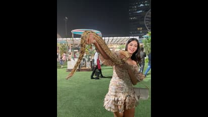 Ananya Panday: పాములతో హీరోయిన్ అనన్య పాండే సాహసాలు... లైగర్ హీరోయిన్ డేర్ చూసి అందరూ షాక్!