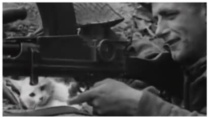 യുദ്ധമുഖത്ത് സൈനികന്റെ തോക്കിന്റെ ട്രിഗര് വലിക്കാന് ശ്രമിക്കുന്ന പൂച്ച; കണ്ണ് തള്ളി കാഴ്ചക്കാര് !