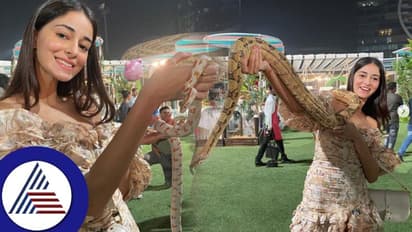 ಹಾವೆಂದರೆ ನನಗೆ ಸ್ವರ್ಗ ಎಂದ ನಟಿ ಅನನ್ಯಾ ಪಾಂಡೆ ಹೆಬ್ಬಾವಿನ ಜೊತೆ ಪೋಸ್: ಫ್ಯಾನ್ಸ್ ಶಾಕ್!