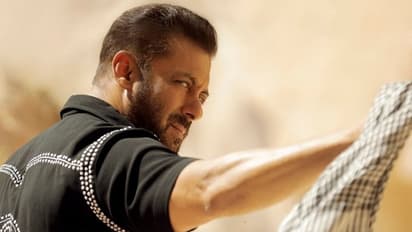 സല്‍മാന്‍ ഖാന് കേരളത്തില്‍ ആരാധകരുണ്ടോ? 'ടൈ​ഗര്‍ 3' ഒരാഴ്ച കൊണ്ട് ഇവിടെനിന്ന് നേടിയത്