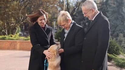 മൊൾഡോവ പ്രസിഡണ്ടിന്റെ നായ ഓസ്ട്രിയ പ്രസിഡണ്ടിനെ കടിച്ചു, സംഭവം ഔദ്യോ​ഗിക സന്ദർശനത്തിനിടെ
