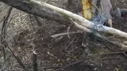 അഴിയാക്കുരുക്കിൽ രണ്ടുദിവസം, ദുരിതം തിന്ന് മാൻ, രക്ഷയ്ക്കെത്തി ഉദ്യോഗസ്ഥർ