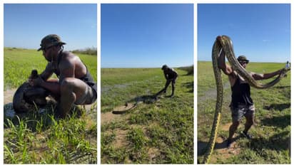 മൂന്നിരട്ടി വലിപ്പമുള്ള അനാകോണ്ടയെ വെറും കൈകൊണ്ട് പിടികൂടുന്ന യുവാവ്; കണ്ണ് തള്ളി സോഷ്യല് മീഡിയ !