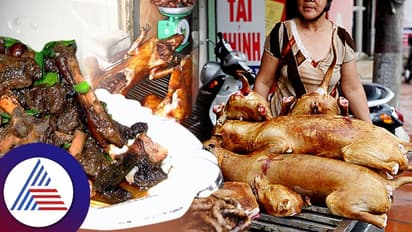 ದಕ್ಷಿಣ ಕೊರಿಯಾ ಜನ ನಾಯಿ ಮಾಂಸ ತಿನ್ನೋದೇಕೆ?