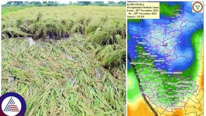 ರೈತರ ಬೆಳೆ ಕಟಾವಿಗೆ ಕಂಟಕವಾಗುವುದೇ 5 ದಿನ ನಿರಂತರ ಮಳೆ? ಹವಾಮಾನ ಇಲಾಖೆ ಎಚ್ಚರಿಕೆ!