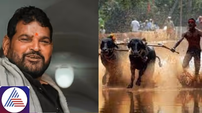 Bengaluru Kambala: Invitation to accused MP Brij Bhushan Singh sparks outrage on Social media