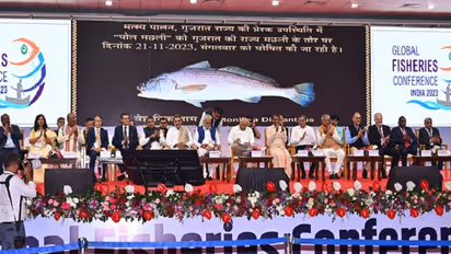 Ghol declared as Gujarat's state fish: Costs more than your Europe trip