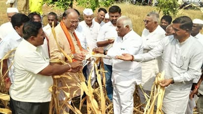 ಸಿದ್ದು ಸರ್ಕಾರ ರೈತರ ಸಮಸ್ಯೆಗಳಿಗೆ ಸ್ಪಂದಿಸದಿರುವುದು ವಿಷಾದದ ಸಂಗತಿ: ಲಿಂಬಾವಳಿ