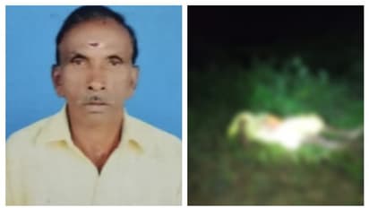 നടയടച്ച് വീട്ടിലേക്ക് വരുന്നതിനിടെ കാട്ടുപോത്ത് കുത്തി വീഴ്ത്തി; ക്ഷേത്ര പൂജാരിക്ക് ദാരുണാന്ത്യം