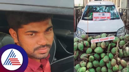 Coco-napped! Bengaluru's peculiar trend of car-involved coconut heists