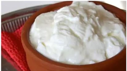 ഉച്ചഭക്ഷണത്തിൽ തെെര് ഉൾപ്പെടുത്തണമെന്ന് പറയുന്നതിന്റെ കാരണം