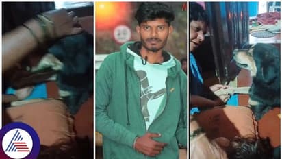 ನಾಯಿ ಅಡ್ಡ ಬಂದು ಬೈಕ್ ಸವಾರ ಸಾವು, ತನ್ನಿಂದಾದ ತಪ್ಪಿಗೆ 3 ದಿನದ ಬಳಿಕ ಮೃತನ ಮನೆಗೆ ಬಂದು ಕ್ಷಮೆ ಕೇಳ್ತಾ ಶ್ವಾನ?