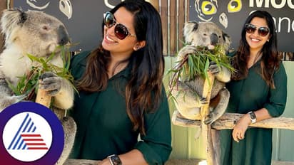 ಆಸ್ಟ್ರೇಲಿಯಾದಲ್ಲಿ ವಿಚಿತ್ರ ಪ್ರಾಣಿ ಜೊತೆ ಅನುಶ್ರೀ! ಈ ಪ್ರಾಣಿ ಯಾವ್ದು ಕಂಡು ಹಿಡಿರಿ ನೋಡೋಣ ಅಂತಿದ್ದಾರೆ ಮಾತಿನ ಮಲ್ಲಿ