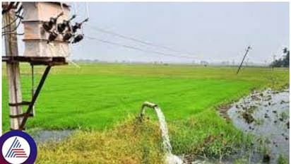 ಬಿಜೆಪಿ ಅವಧಿಯಲ್ಲಿನ ಟೆಂಡರ್‌ ರದ್ದುಗೊಳಿಸುತ್ತಿರುವ ಕಾಂಗ್ರೆಸ್‌ ಸರ್ಕಾರ: ಸಂಕಷ್ಟದಲ್ಲಿ ಎಸ್ಕಾಂ ಗುತ್ತಿಗೆದಾರರು