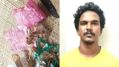 ബെംഗളൂരിൽ തുച്ഛമായ വില! കേരളത്തിലെത്തിയാൽ ഗ്രാമിന് 4000, കലവുരിൽ യുവാവിന്റെ കണ്ടത്  3 ലക്ഷത്തിന്റെ ലഹരിയുമായി