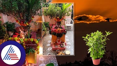  తులసి వివాహం ఈ రోజే.. ఈ ఒక్క వస్తువును మీ గుమ్మానికి కడితే మీ ఇంట్లో డబ్బుకు కొదవే ఉండదు 