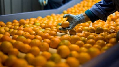 ഇനി കടയില് നിന്ന് ഓറഞ്ച് വാങ്ങുമ്പോള് ഇക്കാര്യങ്ങളൊന്ന് ശ്രദ്ധിച്ചുനോക്കൂ...