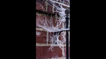 ಕೂತ್ರೂ ನಿಂತ್ರೂ ಗೋಡೆ ಮೇಲೆ ಜೇಡ ಕಂಡ್ರೂ ಇಲ್ಲಿ ದಂಡ ವಿಧಿಸ್ಬೇಕು, ಹೇಗೆ ಬದುಕ್ತಾರೆ ಮಂದಿ ಇಲ್ಲಿ?