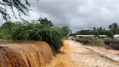 Rain in Coimbatore: கோவை காணுவாய் - பன்னிமடை சாலையில் ஆர்ப்பரித்து செல்லும் வெள்ளம்!!