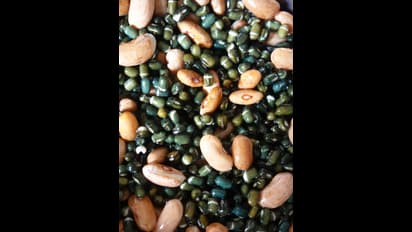 ಶುಗರ್ ನಿಯಂತ್ರಿಸೋದಕ್ಕೆ ರಾಗಿ ರೊಟ್ಟಿ- ಕಪ್ಪು ಬೇಳೆಯ ದಾಲ್ ಬೆಸ್ಟ್ ಕಾಂಬೋ; ಧಾನ್ಯಗಳಲ್ಲಿದೆ ಶುಗರ್ ಕಂಟ್ರೋಲ್ ಮ್ಯಾಜಿಕ್