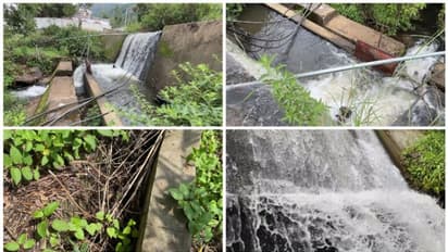 വെള്ളാനയായി കാന്തല്ലൂരിലെ തടയണകൾ; 23 എണ്ണത്തിൽ 16 എണ്ണവും ഉപയോ​ഗ ശൂന്യമായ നിലയിൽ