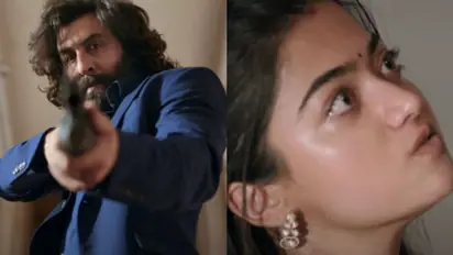 അനിമലില്‍ രണ്‍ബിറിന് ഞെട്ടിക്കുന്ന പ്രതിഫലം, കോടികള്‍ രശ്‍മിക മന്ദാനയ്‍ക്കും, അനില്‍ കപൂറിനും വൻ തുക