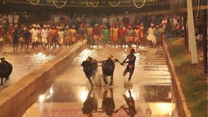 பெங்களூருவின் கம்பாலா.. பிரபல எருது பந்தயம்.. வெளியான புதிய போக்குவரத்து கட்டுப்பாடுகள் - முக்கிய அப்டேட்ஸ்!