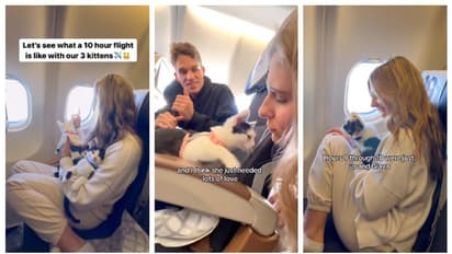 10 മണിക്കൂർ നീണ്ട വിമാന യാത്ര; ബോറടി മാറ്റാൻ യുവതി ഒപ്പം കൂട്ടിയത് 3 പൂച്ചകളെ !