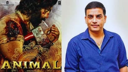 #Animal షాకింగ్ ప్రైస్ కు తెలుగు రైట్స్ ,రిస్క్ చేస్తున్నారా?