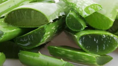 മുഖസൗന്ദര്യത്തിന് കറ്റാര്വാഴ ഇങ്ങനെ ഉപയോഗിക്കാം...