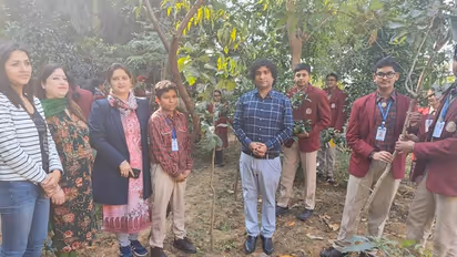 450 Forests and 750 Vertical Gardens: Tree hospitals and ambulances for a greener future