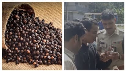 ഇഷ്ടം കുരുമുളകിനോട്, എത്രയും കടത്തും; പൂട്ട് പൊട്ടിക്കുന്നതിൽ സമാനത, ഒടുവിൽപെട്ടു