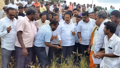 ಬೆಳೆ ವಿಮೆ ಮಾಡಿಸಲು ರೈತರು ಹಿಂದೇಟು: ಕೃಷಿ ಸಚಿವ ಚಲುವರಾಯಸ್ವಾಮಿ ಹೇಳಿದ್ದೇನು?