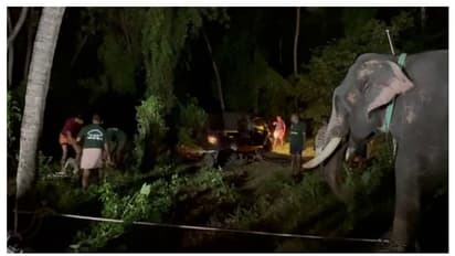 പൂരം കഴിഞ്ഞ് ചമയം അഴിക്കുന്നതിനിടെ ആനയിടഞ്ഞു; പാപ്പാനെ കുത്തിയശേഷം വലിച്ചെറിഞ്ഞു, ആശുപത്രിയിൽ