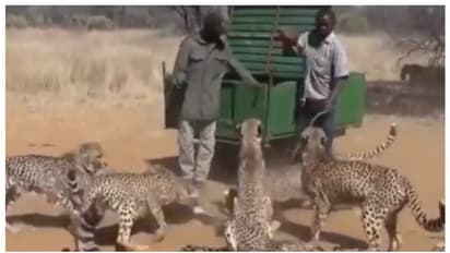 ധൈര്യമുണ്ടോ, ഈ ജോലി ചെയ്യാന്‍? വൈറലായി ഒരു വീഡിയോ !