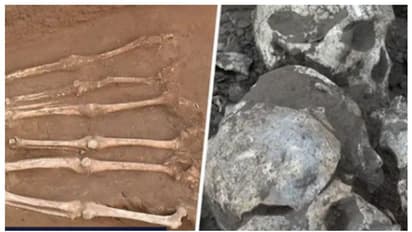 4,100 വർഷം പഴക്കമുള്ള ശവക്കുഴിയിൽ കണ്ടെത്തിയത് തലവെട്ടി മാറ്റിയ മനുഷ്യാസ്ഥികള്‍ !