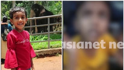 'അവർ 4 പേർ ഉണ്ടായിരുന്നു, അവളെ പിടിച്ച് വലിച്ചു കൊണ്ടുപോയി'; 6 വയസുകാരിയെ തട്ടിക്കൊണ്ടുപോയ സംഭവത്തിൽ സഹോദരൻ